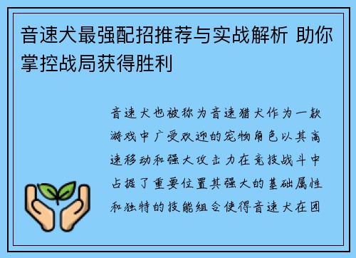 音速犬最强配招推荐与实战解析 助你掌控战局获得胜利